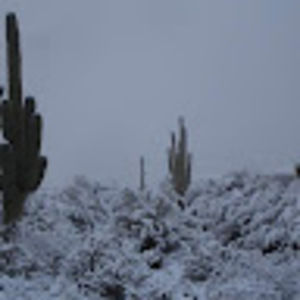 Meet your Posher, Joshua